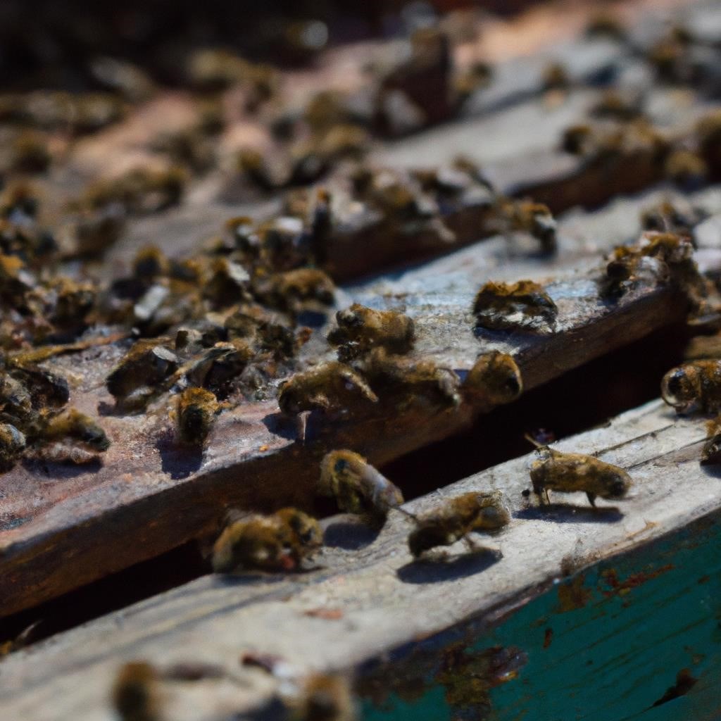 Проблема исчезновения пчел и ее влияние на экосистему